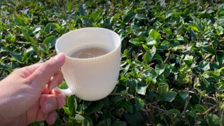 Evin olanakları konumu açısından çok harika